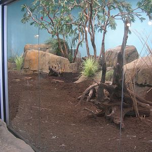 Kiwi Exhibit