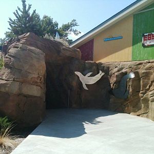 Sea Lion Cove - underwater viewing entrance/exit