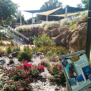 Sea Lion Cove landscaping and interpretive