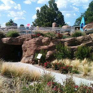 Sea Lion Cove - underwater viewing entrance/exit
