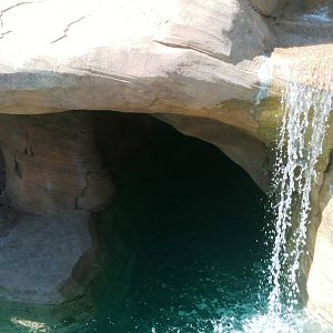 Sea Lion Cove waterfall