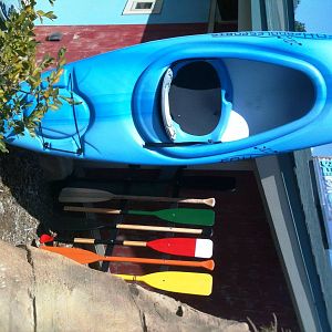 Sea Lion Cove theming