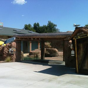 Sea Lion Cove glass viewing wall