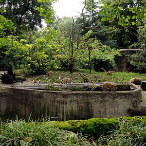 Coatienclosure at Hamburg