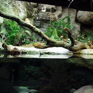 Pythonenclosure at Hamburg