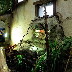 Open enclosure for Reptiles at Hamburg