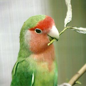 Filey Bird Garden and Animal Park 31st August 2012