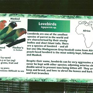 Filey Bird Garden and Animal Park 31st August 2012