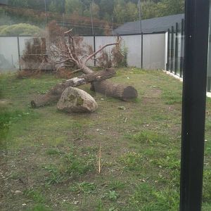 Fossa outdoor enclosure