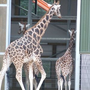 The new arrivals 3/10/12