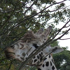 The new arrivals 3/10/12