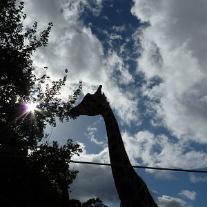 The new arrivals 3/10/12