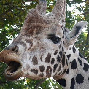 The new arrivals 3/10/12