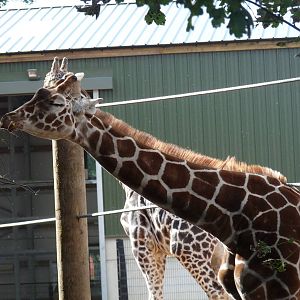 The new arrivals 3/10/12