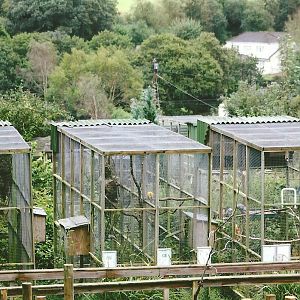 Aviaries 10th September 2012