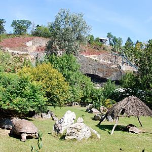 Giant tortoise exhibit at Praha
