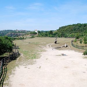 Savannah at Praha zoo