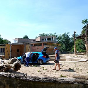Former elephant paddock at Praha
