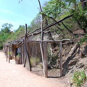 Small parrot aviaries