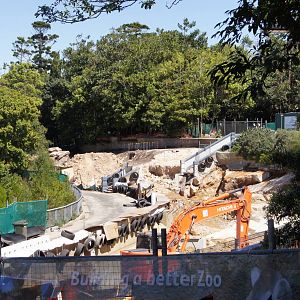 Lemur Forest Adventure construction