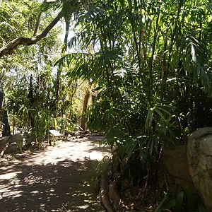 Wild Asia: Palm Aviary