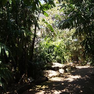 Wild Asia: Palm Aviary