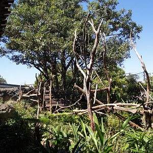 Wild Asia: Binturong Exhibit