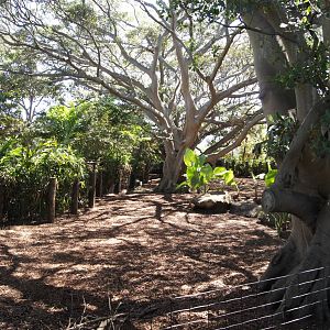 Wild Asia: Chital Deer/ Red Junglefowl Exhibit