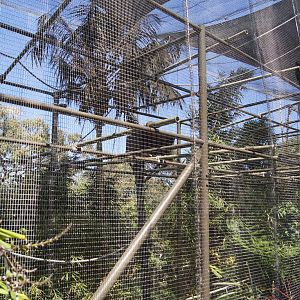 Wild Asia: White Cheeked Gibbon Exhibit