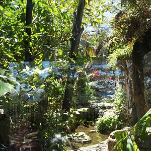 Wild Asia: Fishing Cat Exhibit