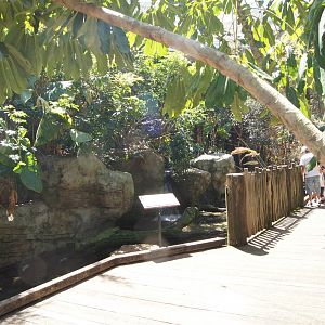 Wild Asia: Wetlands Aviary