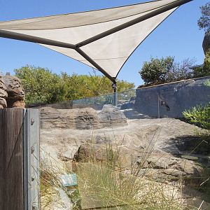 Great Southern Oceans: Little Penguin, Land Area