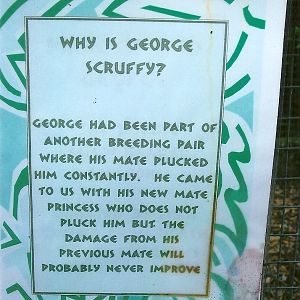 Signage re George 5th September 2011