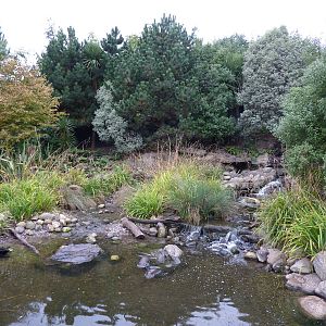 Otter enclosure, 5th October 2012