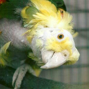 George 10th September 2012