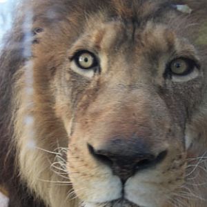 Are you looking at me?