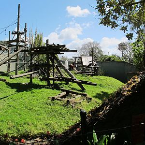Orangutan Enclosure, September 2011