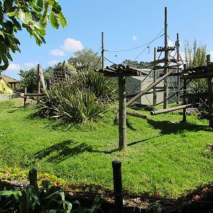 Orangutan Enclosure, September 2011