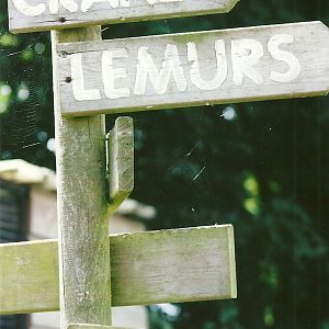 Directional sign 11th September 2012