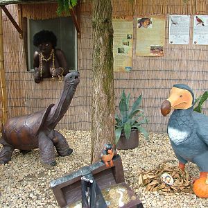 Mascarene Display at Chleby, 26/08/12