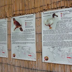 Signage Example at Chleby, 26/08/12