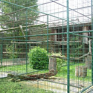 Aviaries at Chleby, 26/08/12