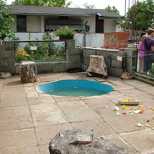 Coypu Exhibit at Chleby, 26/08/12