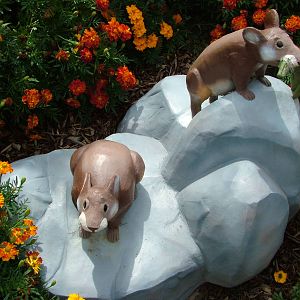 Sardinian Pika Sculpture at Chleby, 26/08/12