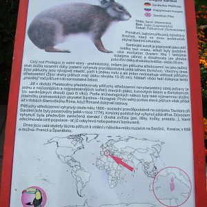 Signage Example at Chleby, 26/08/12