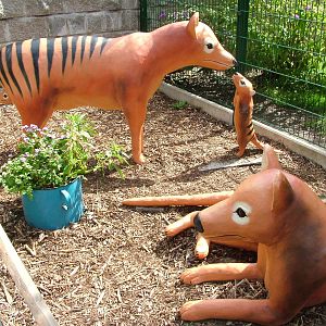 Thylacine Sculpture at Chleby, 26/08/12