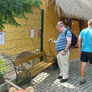 Cheetah Enclosure at Chleby, 26/08/12