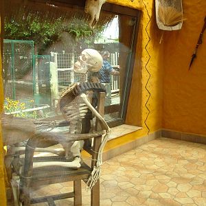 Cheetah Enclosure at Chleby, 26/08/12