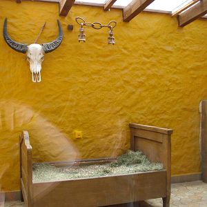 Cheetah Enclosure at Chleby, 26/08/12