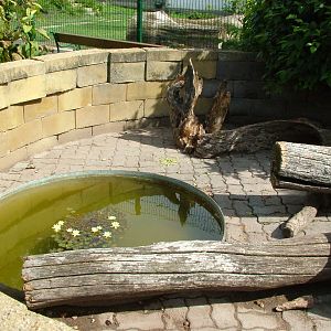 Porcupine Exhibit at Chleby, 26/08/12